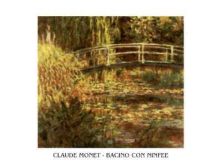 bacino-con-ninfee-7700088[1].jpg
